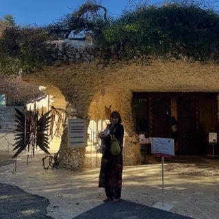 紅葉ももう最後のふんばりの頃、エマちゃんと河口湖近くの久保田一竹美術館へ。前に訪れたのがグリーンに包まれた新緑が過ぎたくらいの時期だったので、秋の終わり、冬の始まりの色味もとても美しかったです。ここは何度でも訪れたい(何なら住みたい)。エマちゃん、ご一緒してくれてありがとう! いやはや、こちらの美術館の植栽には憧れしかありません。。
さて最後の植物写真。おそらく南天でしょうか?
夏の間ジャングルと化し、やらねばやらねばと思っていた庭の草むしりをようやく終えたら、塀際に複数の南天らしき姿を発見したので、残しておきました。よく塀の上を鳥がちょんちょん歩いているので、実を運んでくれたのかもしれません。実生の南天、様子を見守っていきたいと思います。